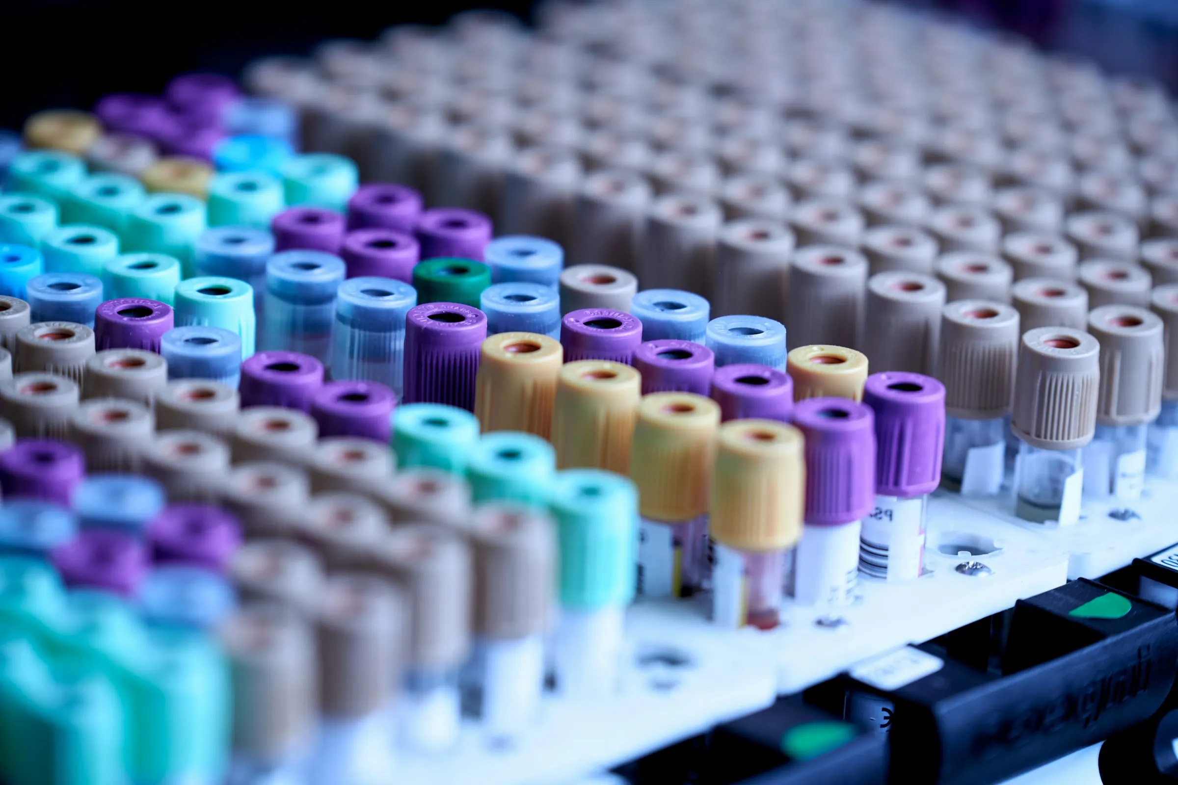 Medical & Laboratory